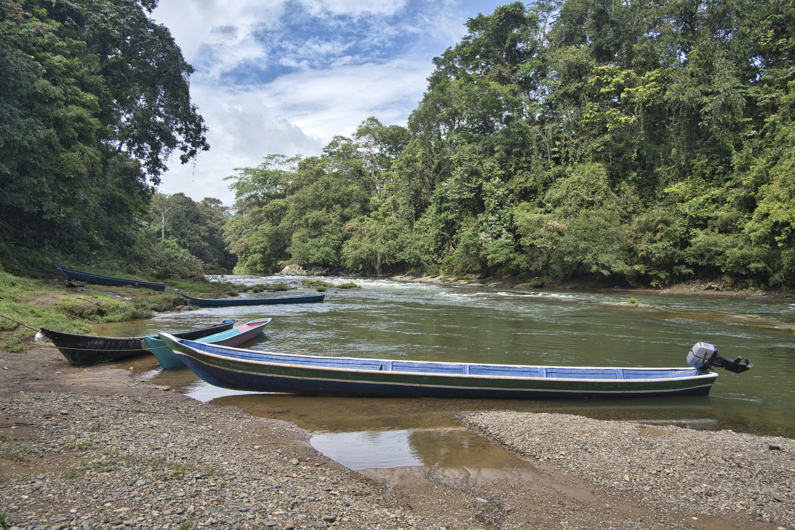 Proteger el ambiente implica también proteger a quienes lo defienden